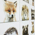 IXXI - Lila and Lola - Animal Family Collage